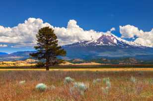 Mt. Shasta-3257.jpg Mt. Shasta-3257.jpg
